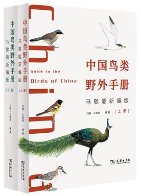 3中國鳥類野外手冊(馬敬能新編版)全2冊_副本_副本